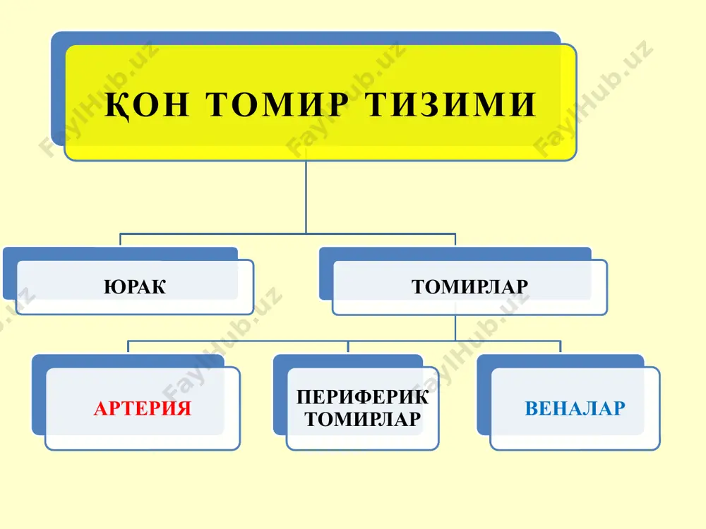 . 116 спасибо за внимание image1.jpeg image2.jpeg image3.jpeg image4.jpeg image5.jpeg image6.jpeg image7.jpeg image8.jpeg image9.gif image10.jpeg image11.jpeg image12.jpeg image13.jpeg image14.jpeg image15.png image16.jpeg image17.jpeg image18.jpeg image19.jpeg image20.jpeg image21.jpeg image22.jpeg image23.jpeg image24.jpeg image25.jpeg image26.jpeg image27.png image28.jpeg image29.png image30.jpeg image31.jpeg image32.jpeg image33.jpeg image34.jpeg image35.jpeg image36.jpeg image37.jpeg image38.jpeg image39.png image40.jpeg image41.jpeg image42.png image43.jpeg image44.jpeg image45.jpeg image46.jpeg image47.jpeg image48.jpeg image49.jpeg image50.jpeg image51.jpeg image52.jpeg image53.jpeg image54.jpeg image55.jpeg image56.jpeg image57.jpeg image58.jpeg image59.jpeg image60.jpeg image61.jpeg image62.png image63.jpeg image64.jpeg image65.png image66.jpeg image67.jpeg image68.jpeg image69.jpeg image70.jpeg image71.jpeg image72.jpeg image73.jpeg image74.png image75.jpeg image76.jpeg image77.jpeg image78.jpeg image79.gif image80.jpeg image81.jpeg image82.jpeg image83.png image84.jpeg image85.jpeg image86.jpeg image87.png image88.jpeg image89.jpeg image90.png image91.jpeg image92.jpeg image93.jpeg image94.jpeg image95.png image96.jpeg image97.jpeg image98.jpeg image99.jpeg image100.jpeg image101.jpeg image102.jpeg image103.jpeg image104.jpeg image105.jpeg image106.png image107.jpeg image108.jpeg image109.jpeg image110.png image111.jpeg image112.jpeg blood cell types /docprops/thumbnail.jpeg