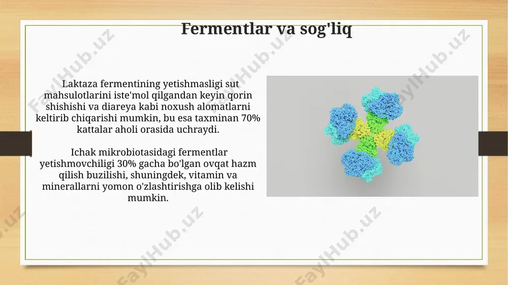 fermentlar - Page 5