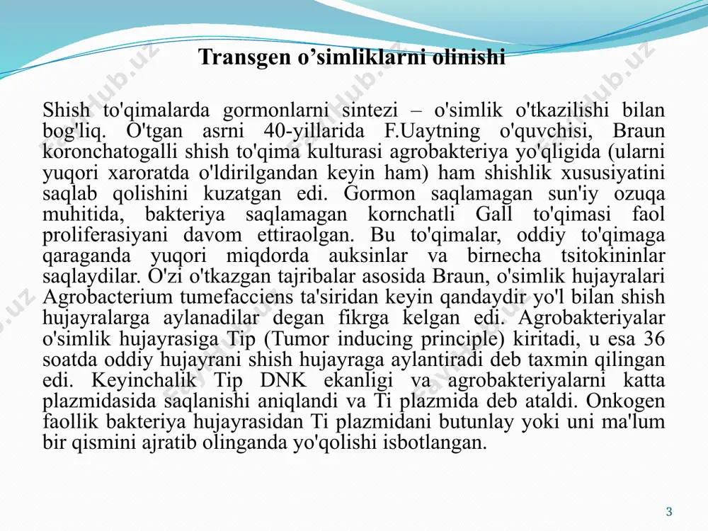 n bog'liq bo'lgan gormonga muhtojsizlikdir. galli shishlarda bunday qobiliyat o'simliklarga bakteriyalarni begona genlarini kiritilishi oqibatida kelib chiqadi. kimyoviy ("moslashgan") shishlar hujayralarida bu xususiyat gormonlar sintezi uchun javobgar genlarni depressiyasi bilan bog'liq bo'lsa kerak deb taxmin qilinadi, ammo u mutasiya bilan aloqador bo'lishi ham mumkin. 6 ikkinchi umuiy xususiyat, birinchisidan kelib chiqib, agrobakteriyalar bilan induktsiya qilingan "moslashgan" va shish hujayralarni fertil o'simlik regenerasiya qilish qobiliyatini yuqotishidir. galli shishlar ko'pchilik holatlarda sog'lom o'simlik hosil qilaolmaydilar. ba'zida ular teratomlar (xunuk, organlarga o'xshagan tuzilmalar) hosil qiladilar va ular normal rivojlana olmaydilar. "moslashgan" to'qimalar ham odatda normal o'simlikga aylanaolmaydilar, ularni hujayralari ikkilamchi differentsirovkaga va morfogenezga bo'lgan qobiliyatlarini yo'qotadilar. ammo, ba'zida, ozuqa muhiti tarkibini o'zgartirish orqali, "moslashuv" chegarsini orqaga surish mumkin. demak, uzoqroq passaj qilingan kulturalar to'qimalaridan ham regenersiya qilaoladilar o'simlik olish imkoniyatlari ham yo'q emas. 7 raqamlar dunyodagi ikki yirik guruch ishlab chiqaruvchisi xitoy va hindiston (dunyo aholisining ~ 40 foizi) genetik jihatdan o'zgartirilgan guruchga …