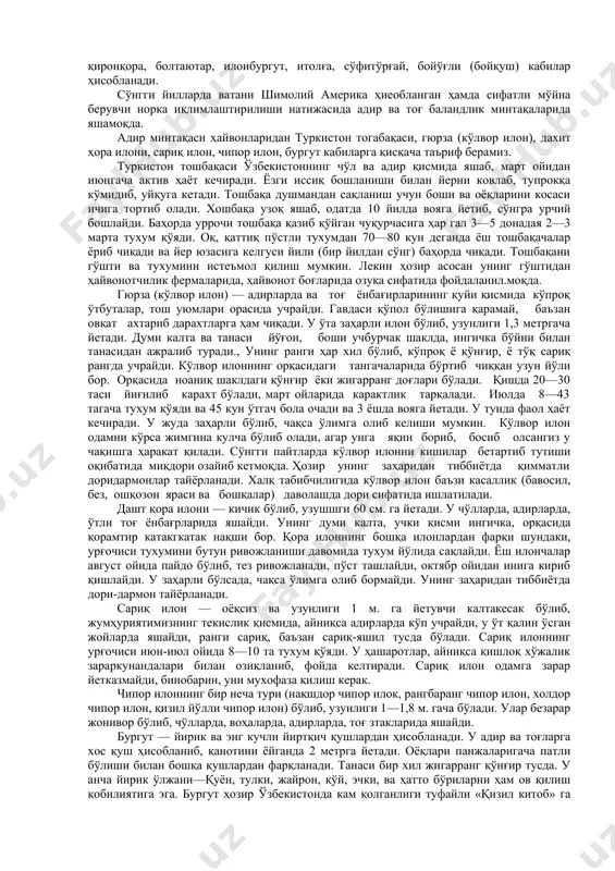 ир корақурт заҳаридан хар хил дорилар ва унинг чаққанига қарши зардоб (сиворотка) ишланмоқда. қорақуртнинг табиий душманларидан бири арилар хисобланади. арилар қорақуртларни ўлдириб ёки уларнинг тухумларини йўқ қилиб, табиий кўпайишига халақит беради. қорақуртларнинг бир неча турлари бор. жумҳуриятимизнинг сурхондарё, қашқадарё, бухоро ва жиззах вилоятларида оқ корақурт (урғочисининг узунлиги 10—12 мм, эркагининг узунлиги 5 мм бўлади, заҳари ўткир), қарши чўлида дала қорақурти (урғочисининг узунлиги 12—15 мм, эркагининг узунлиги 3—4 мм бўлйб, у кам ўрганилган), чўлларда эса нисбатан катта бўлган қора паук (эрезус нигер) қорақурти (уррочисининг узунлиги 3 см. гача боради) учрайди. лекин қора паукнинг биологияси яхши ўрганилмаганлиги туфайли унинг чақишига қарши зардоб йўк. тарантул — заҳарли ўргимчаклар оиласига киради. унинг кўриниши фалангга ўхшаш бўлиб, узунлиги 30—40 мм, фалангдан фарқи у захарли х.ашарот. тарантул ариқлар ёқасида, пахта ва бошқа экинлар ичида яшаб, кундузи пассив, кечаси фаол ҳаёт кечиради. у баъзан пойабзал ичига ёки инсон кийимига кириб олиб, чақади. тарантул чаққан жош шишиб. қаттиқ …