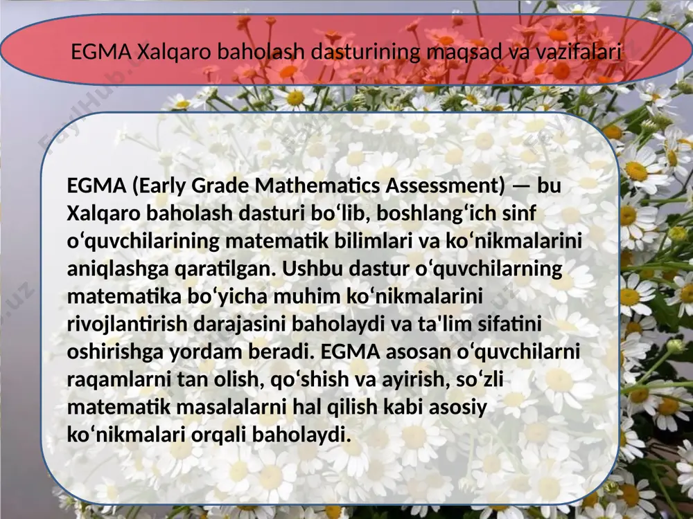 egma va egra xalqaro baholash dasturi mazmun-mohiyati - Page 4