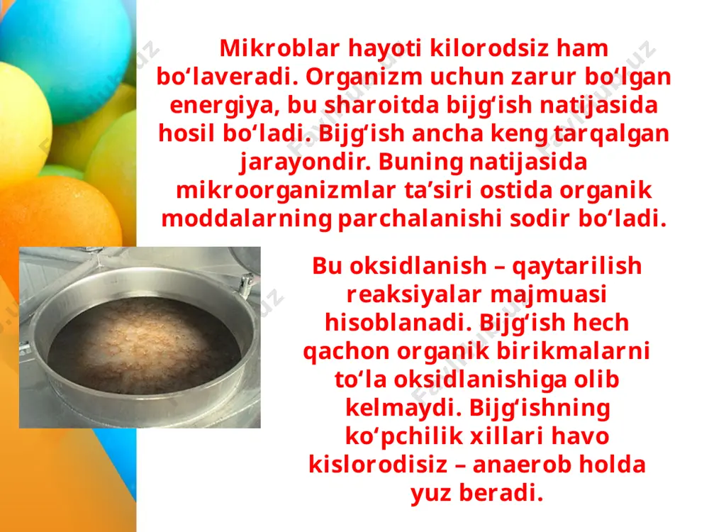 an tashqari spirt, sirka kislota, karbonat angidrid hosil bo‘ladi. gomofermentativ sut kislotali bijg‘ishni lactobacillus va streptokokk avlodiga kiruvchi bakteriyalar amalga oshiradi. geterofermentativ bijg‘ishni lactobactirium va streptococcus avlodiga kiruvchi bakteriyalar amalga oshiradi. sut kislotali bakteriyalardan meva va sabzavotlardan konservalar tayyorlash va qoramollar uchun silos tayyorlashda keng qo‘llaniladi. sof sut kislotali bijg‘ishdan sanoatda sut kislota olish uchun ishlatiladi. sut kislota esa teri ishlab chiqarishda, kir yuvish poroshoklari, plastmassalar tayyorlashda va farmatsevtika sanoatida keng miqyosda ishlatiladi. shuningdek, sut kislotasidan konditer sanoatida va alkogolsiz ichimliklar tayyorlashda foydalaniladi. yog‘ kislotali bijg‘ishda karbon suvlar yog‘ kislotasiga aylanadi. buning mohiyatini lui paster aniqladi. bunday bijg‘ishni yog‘ kislotali bakteriyalar amalga oshiradi, ular hayoti uchun zarur bo‘lgan energiyani karbonsuvni bijg‘ishidan oladi. bu bakteriyalar karbonsuvlarni, spirtlarni va kislotalarni, hattoki yuqori molekulali karbonsuv – kraxmal, glikogen, dekstrinlarni ham bijg‘ita oladilar. bijg‘ish jarayonida turli qo‘shimcha mahsulotlar – etil spirti, sut va sirka kislotalar ham hosil bo‘ladi. ba’zi yog‘ kislotali bakteriyalar atseton, butanol …