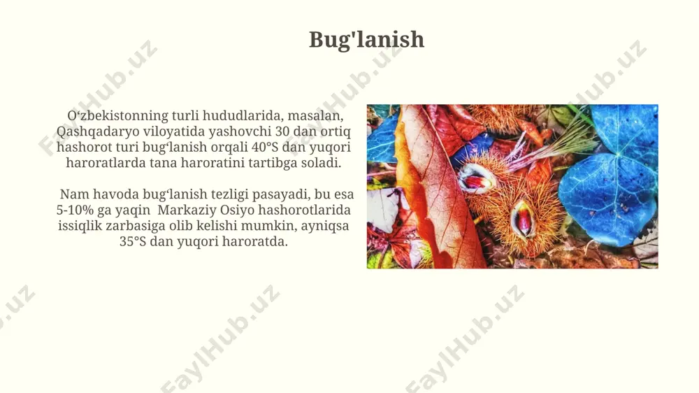 ar periferik qon oqimini pasaytiradi va titroq reaksiyasi kuchayadi. konveksiya konveksiya jarayoni, ayniqsa, shamolli ob-havo sharoitida, masalan, 10 m/s tezlikdagi shamol bilan, issiqlik yoʻqotilishini 4 barobar tezlashtirishi mumkin. bu esa, ayniqsa, tog'li hududlarda, balandlikka ko'tarilganda sezilarli darajada bo'ladi. inson tanasining 37°c harorati atrof-muhit haroratidan yuqori boʻlganda, konveksiya orqali terining yuzasidan havo oqimi orqali issiqlik yoʻqotilishi kuzatiladi, masalan, 25°c haroratdagi xonada. issiqlik o'tkazuvchanlik issiqlik o'tkazuvchanlikning qiymati inson tanasi to'qimalarida 0,2 dan 0,6 vt/(m·k) gacha o'zgarib turadi va bu qiymat terining qalinligi, namligi va atrof-muhit harorati kabi omillarga bog'liq. issiqlik o'tkazuvchanlik jarayonida, 1 sm qalinlikdagi yog' qatlami, 0,2 vt/(m·k) issiqlik o'tkazuvchanlik koeffitsiyentiga ega bo'lib, organizmning issiqlik yo'qotishini sezilarli darajada pasaytiradi va bu, ayniqsa, sovuq iqlim sharoitida, masalan, sibirda, muhim ahamiyat kasb etadi. atrofdagi muhitning ta'siri 5°c haroratdagi sovuq suvga 10 daqiqa botirilganda, tananing markaziy harorati 0,5°c ga pasayishi mumkin, bu esa gibraltar bo'g'ozidagi suv haroratiga o'xshash sovuq suvda gipotermiyaga olib kelishi mumkin. …