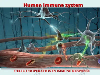 human immune system — PPT