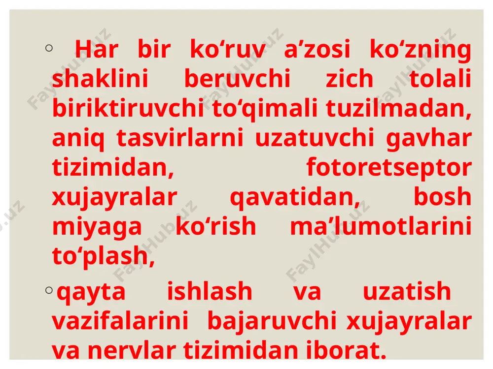 fotoretsepsiyaning morfologik asoslari - Page 3