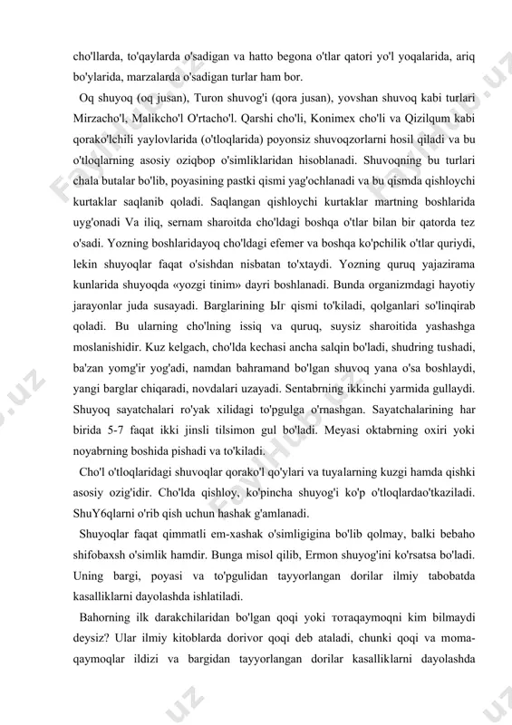 yillik o'tlar va chala butalardir. barglari od​diy, uchga bo'lingan yoki patsimon bo'lingan. barg bo'laklari ingichka - ipsimon. вu turkum vakillari orasida tog'​larda, adirlarda, cho'llarda, to'qaylarda o'sadigan va hatto begona o'tlar qatori yo'l yoqalarida, ariq bo'ylarida, mar​zalarda o'sadigan turlar ham bor. oq shuyoq (oq jusan), тuron shuvog'i (qora jusan), уоv​shan shuvoq kabi turlari mirzacho'l, malikcho'l o'rta​cho'l. qarshi cho'li, konimex cho'li va qizilqum kabi qorako'lchili yaylovlarida (o'tloqlarida) poyonsiz shuvoq​zorlarni hosil qilаdi va bu o'tloqlarning asosiy oziqbop o'simliklaridan hisoblanadi. shuvoqning bu turlari chala butalar bo'lib, poyasining pastki qismi yag'ochlanadi va bu qismda qishloychi kurtaklar saqlanib qoladi. saqlangan qishloychi kurtaklar martning boshlarida uyg'onadi va iliq, sernam sharoitda cho'ldagi boshqa o'tlar bilan bir qatorda tez o'sadi. yozning boshlaridayoq cho'ldagi efemer va boshqa ko'pchilik o'tlar quriydi, lekin shuyoqlar faqat o'sishdan nisbatan to'xtaydi. yozning quruq yajazirama kunlarida shu​yoqda «yozgi tinim» dayri boshlanadi. bunda organizmdagi hayotiy jarayonlar juda susayadi. barglarining ыг qismi to'kiladi, qolganlari so'linqirab qoladi. вu ularning …