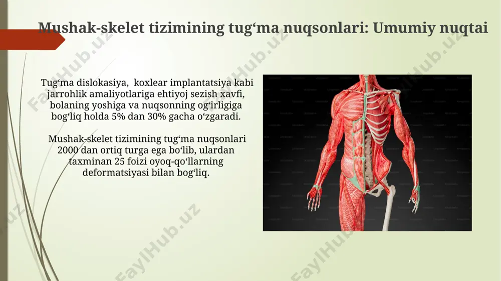 tayanch xarakati tizimi tugma anamaliyalari - Page 5