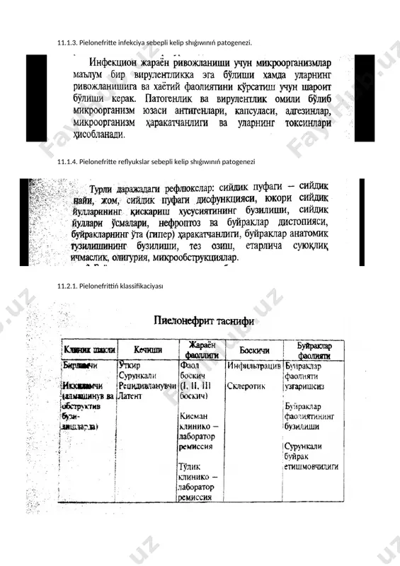pielonefrit - Page 2