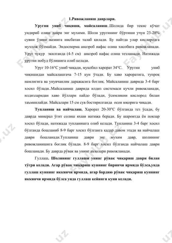 керак. жуда паст намликда (40%) шоли гулламайди. битта гул ўртача бир соат гуллайди. булутли хавода эса бу жараён чўзилиб кетиши мумкин. мева тугиши. доннинг шаклланиш ва пишиш жараёни бир неча босқичда кечади, яъни бунда дон шаклланади, эндосперм озиқ моддалари билан тўлишади, сувнинг миқдори камаяди. бу давр учта пишиш даврига бўлинган: сут, мум ва тўлиқ пишиш даврлари. сут пишиш даврида дон энига ва узунасига ўсади.чангланишдан сут пишиш давригача 11-12 кун ўтади. дон таркибида 70% сув бўлади.мум пишиш даврида дон унсимон, зичлик даражасига эга бўлиб тирноқ билан кесилади, бу даврда сувнинг миқдори 35% гача бўлади, бу давр 20 кун давом этади.мум пишиш давридан тўлиқ пишгунга кадар 5-7 кун ўтади, умумий пишиш даври эса 30-40 кун давом этади, албатта атроф-мухитга боглиқ холда. шоли навлари ўсув даврининг давомийлигига кўра қуйидаги гурухларга бўлинади. 13.ўсув даврига кўра шолининг гурухлари гурухлар униб чиқишдан то рўваклашгача бўлган кунлар сони тўлиқ сув бостирилганда то тўлиқ пишиш давригача бўлган амал …