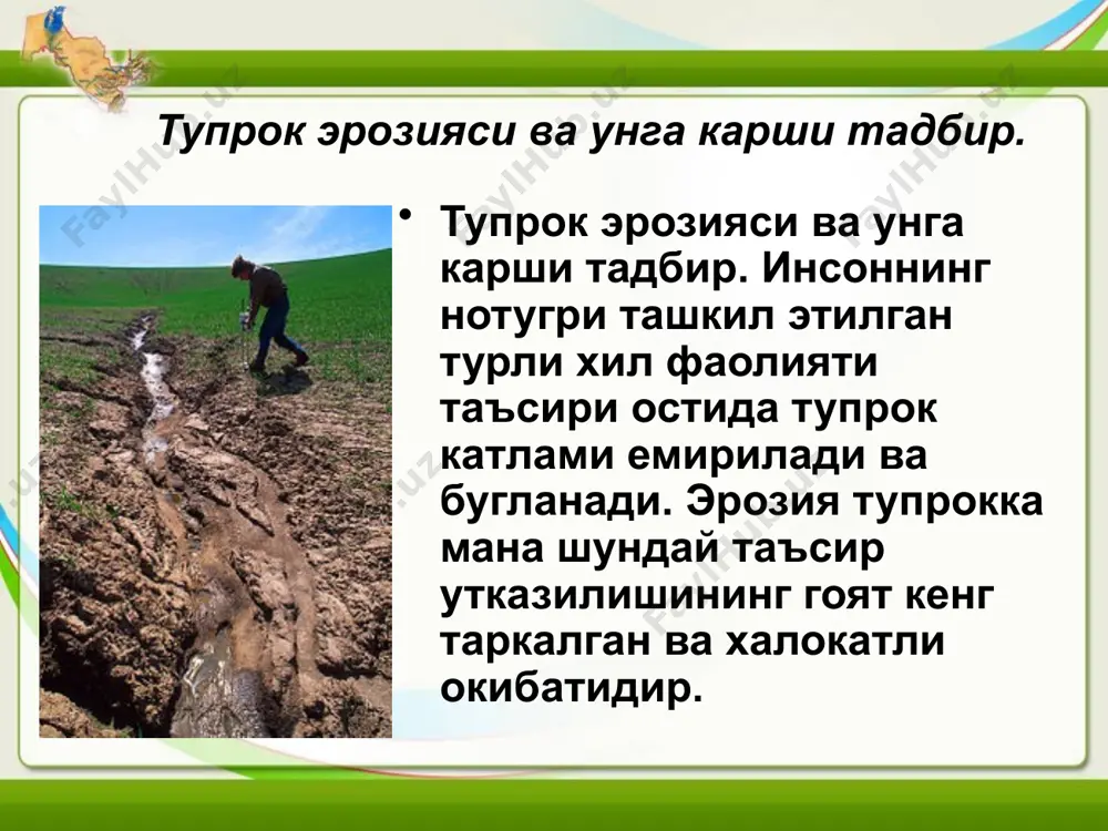 еракки, эрозия жараёнлари тупрокдаги экосистемалар биомассасига фойдаланилган куёш энергияси микдорига хам таъсир утказади эрозия жараёнлари натижасида атмосферада, гумусда ва тупрок таркибидаги микробларда ютилган куёш энергиясининг 30-50 фоизи ва ундан купроги йукотилади, тупрокда содир буладиган биологик, тупрок жараёнларининг интенсивлиги асосан куёш энергиясининг захиралари ва у сочаётган нур куринишининг узгаришлари билан боглик эканлигини эътиборга олганда эрозия томонидан экосистемага етказиладиган зарар микёсларини тасаввур этиш мумкин. нураб емирилган ва эрозияга учраб турадиган ерларда дехкончилик билан шугулланиш киммат туради. бундай ерларга ишлов бериш, экин экиш, хосилни йигиштириб олиш, угит солиш кимматга тушади, эрозия натижасида улар ювиб кетилиши мумкин. хосил оз ва сифати паст, чорвачилик махсулотлари хам кам булади ва хоказо. озик - овкат махсулотлари етиштиришнинг имконияти камайиши давлат учун энг катта зарар хисобланади. масалан, олимларнинг хисоб - китобларига кура, эорзияга учраган ерларда хар йили ялпи дехкончилик махсулотининг 20 фоизга кадар нобуд булмокда, республика 200 минг тоннага якин пахта ва бошка кишлок хужалик махсулотларини ололмай коляпти. …