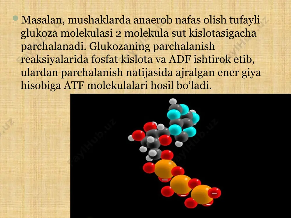 energiya almashinuvi bosqichlari. 9 - sinf - Page 5