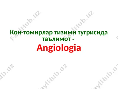ангиология — PPTX