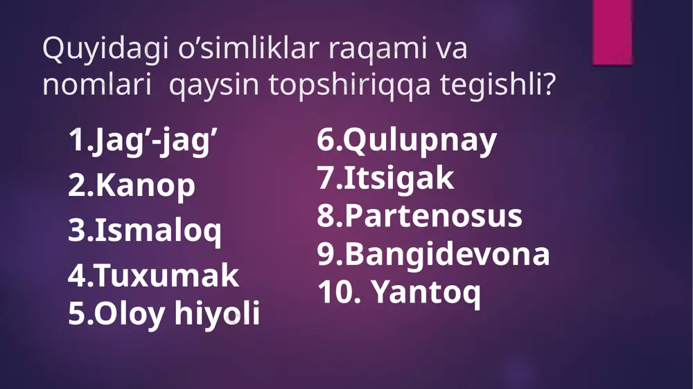 qovoqdoshlar oilasi - Page 4