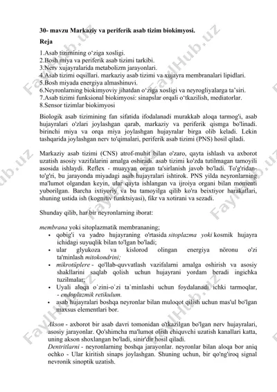 biologik asab tizimi — DOCX