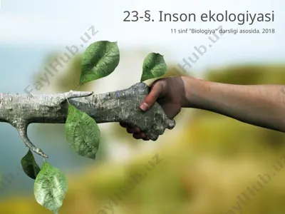 inson ekologiyasi — PPTX
