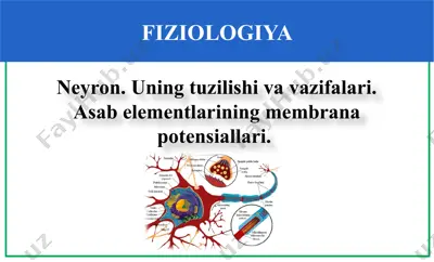fiziologiya — PPTX