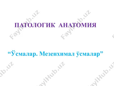 ўсмалар. мезенхимал ўсмалар — PPTX