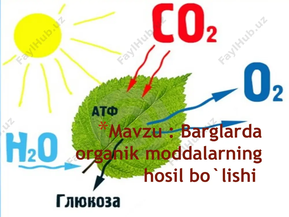 intez – fotosintez yunoncha so`z bo`lib “fotos” – yorug`lik, “sintez” –qo`shish, biriktirish degan ma`noni anglatadi xlorofill- yashil rangda bolib, shu joyda fotosintez sodir bo`ladi. timiryazev – fotosintezni kashf etgan rus olimi karbonat angidrid – fotosintez uchun kerak bo`lgan modda glyukoza – fotosentezdan hosil bo`luvchi modda kislorod – nafas olish uchun kerkli gaz barg og`izchasi – fotosintez uchun karbonat angidridni kirgizib, kislorodni chiqaradigan hujayra anorganik modda – suv va mineral tuzlar, karbonat angidrid organik modda – shakar- glyukoza yorug`lik – fotosintez borishi uchun energiya manbai e`tiboringiz uchun raxmat image1.png image2.png image3.png image4.jpeg image5.jpeg image6.jpeg image7.png image8.jpeg image9.jpeg image10.png image11.jpeg image12.png /docprops/thumbnail.jpeg