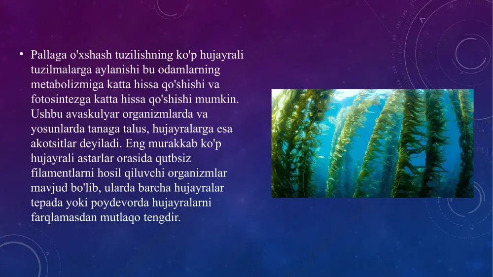 o’simliklar evolyutsiyasining asosiy bosqichlari - Page 4