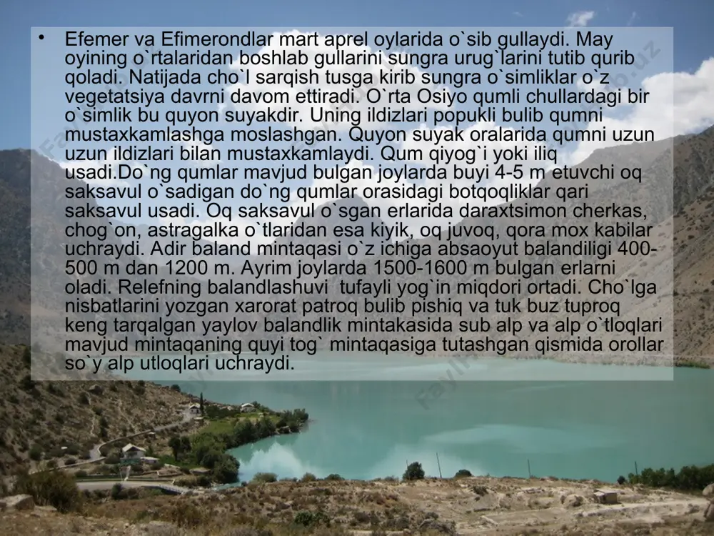 tosh tushirishda ishlatidi. o`zlarda noyob endemik relekt o`simlik turlarini saqlab qolib ximoya ostiga olishgan. yuqolgan yoki yo`qolish arafasida koppechnik, omonqo`ton,qorovul irog`i, turkiston yovvoyi mokki turlari bunday o`simlik turlariga ayrim yig`ib olish qiyin joylarda yoki madaniy sharoitda saqlanib qolgan. yo`qolib borayotgan turlar anor,zarafshon,regli,oshaki piyozi,tog` piyozi,dilband lola,sariq shirak, yovvoyi anjir.bunday o`simliklar turlari yo`qolib ketish xavfli bo`lib saqlab qolish uchun mxofaza choralarini talab etadi. noyob turlar (omonqora abolin buxoro astralali,yovvoyi uzum, chinnigul mingdevol sunbul qovul,chilonjiyda lolalar chimyon lolasi,boysun shiragi sug`ur uti gulisimli va boshqalar. bunday o`simliklar turlari ma'lum kichik maydonlarda saqlanib qolgan binobarin tezda nazorat ostiga olinmasa yo`qolib ketadi. kamayib borayotgan turlar-novmushuk etmak, bex alzur piyoz,oq porpi,fufanak burmakova va boshqalar. bunday o`simlik turlari ba'zi tabiiy sabablar va insonning ta'siri ostiga maydoni xamda miqdori kamayib ketish mumkin,binobarin vaqti vaqti bilan nazorat qilib turishni talab etadi. o`rta osiyoda xar xil bo`yoqlar efir moyillari texnikada ishlatiladigan moddalar olinadigan ko`pgina o`simliklar bor. ularning eng muhimlari taron teri …