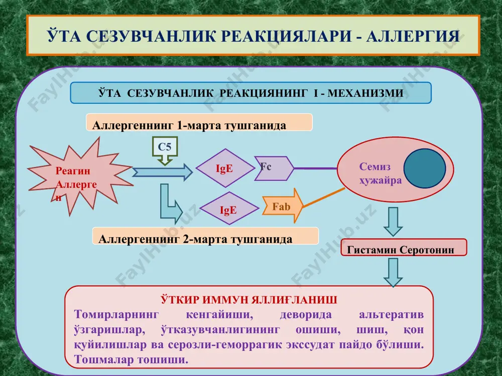immunogenezning skhematik tasviri - Page 5