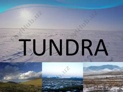 tundra — PPT
