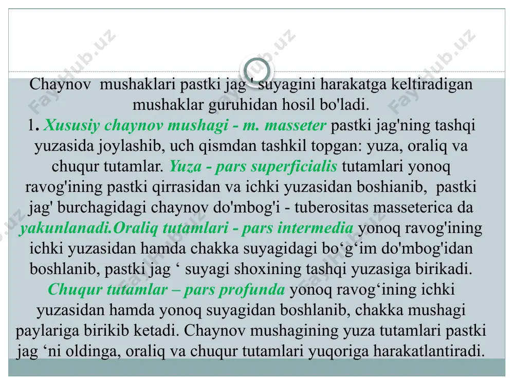 alarida. yakunlanish sohasi yuqori labning terisida.vazifasi: yuqori labni ko'taradi. 11. m. levator anguli oris - og‘iz burchagini ko'taruvchi mushak. yuqori jag'ning foramen infraorbitalis teshigi ostidan boshlanadi. o g'iz tirqishi burchagidagi mushaklarda va shu soha terisida yakunlanadi.vazifasi: og'iz tirqishi burchagini ko'taradi. 12. m. zygomaticus minor-yonoq sohasidagi kichik mushak. yonoq suyagining lateral yuza­sidan boshlanadi. yuqori labning mushak va terisida yakunlanadi. vazifasi: yuqori labni ko'taradi. 13. m. zygomaticus major - yonoq sohasidagi katta mushak. yonoq suyagining lateral yuzasidan boshlanadi. og'iz burchagidagi mushak va terisida yakunlanadi.vazifasi: og'iz tirqishi burchagini yuqoriga va tashqi tarafga tortadi 14. m. depressor anguli oris - og'iz burchagini tushiruvchi mushak. pastki jag ' suyagi aso­sining oldingi yuzasidan boshlanadi. og'iz tirqishi burchagiga birikadi. vazifasi: og'iz tirqishi burchagini pastga tortadi. 15. m. depressor labii inferioris - pastki labni tushiruvchi mushak. pastki jag ' suyagining foramen mentale teshigi sohasidan boshlanadi. pastki lab terisiga va shilliq qavatiga birikadi. vazi­fasi: pastki labni tushiradi.16. m. mentalis …