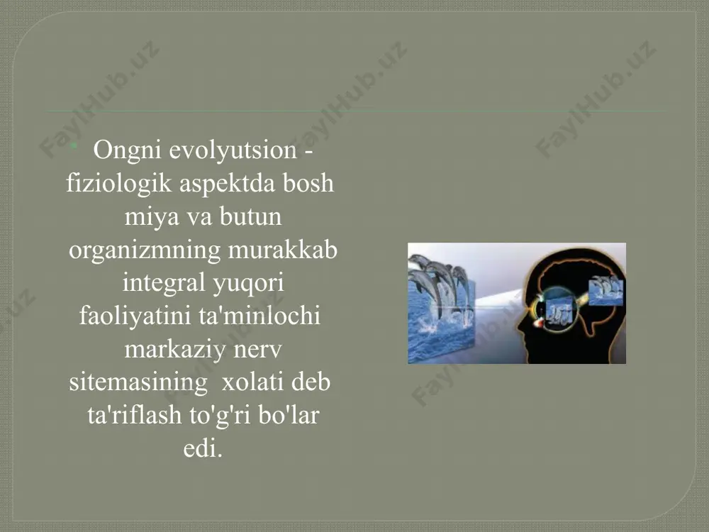ong haqida tushuncha va uning xossalari - Page 4