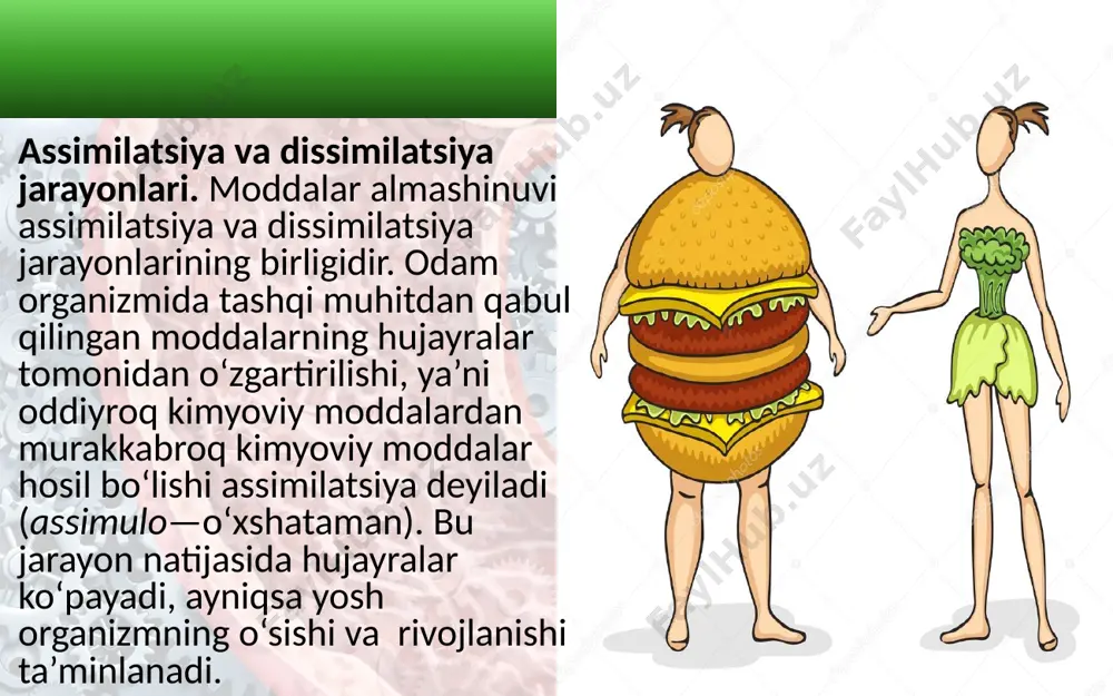 ida terlash va nafas chiqarish orqali organizm ko‘p suv yo‘qotadi. shuning uchun chanqoqlik yuzaga kelib, og‘iz quruqlashganda suvni ko‘p iste’mol qilavermasdan, og‘izni tez-tez chayib turilsa, ayniqsa, nordon suv (limonli suv, mineral suv) bilan, chanqoqlik bosiladi. mineral tuzlar odam tanasining barcha hujayra va to‘qimalari tarkibida bo‘ladi. ular ikkiga: makroelementlar va mikroelementlarga bo‘linadi. makroelementlarga natriy, xlor, kalsiy, fosfor, kaliy, temir kiradi. bular qon, hujayra, ayniqsa, suyaklar tarkibida ko‘p miqdorda bo‘ladi. mikroelementlarga rux, marganes, kobalt, mis, aluminiy, ftor, yod kiradi. bular qon, hujayra va suyaklar tarkibida oz miqdorda bo‘ladi. mineral tuzlar moddalar almashinuvida, ayniqsa, hujayralarning qo‘zg‘alish jarayonida muhim o‘rin tutadi. savol va topshiriqlar oqsil organizm uchun qanday ahamiyatga ega? sifatli va sifatsiz oqsillar qanday oziq moddalarda bo‘ladi? yog‘lar almashinuvining xususiyatlarini ayting. organizmda uglevodlar almashinuvi qanday o‘tadi? image2.jpeg image3.jpeg image4.jpeg image5.jpeg image6.gif image7.gif image8.gif image9.gif image10.gif image11.png image12.png image13.gif image14.jpeg image1.jpeg