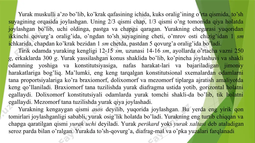 agmaning paydan tuzilgan markaziga tegib turadi. yurakning o’pka yuzalari ikki yonidan joylashgan va o’pkalar yuzasi tomon qaratilgan. yurak to’rtta bo’limdan iborat, uning asos qismida, yuqorida ikkita yurak bo’lmachasi va ularning ostida ikkita qorinchasi tafovut qilinadi. yurakning tashqi yuzasida bo’lmachalarni qorinchalar-dan ajratadigan tojsimon egat joylashgan. qorinchalar esa bir-biridan oldingi va orqa qorinchalararo egatlar bilan ajratilgan. tojsimon va qorinchalararo egatlarda yurakni oziqlantiruvchi qon tomirlari joylashgan. yurakning o’ng bo’lmacha va o’ng qorinchadan faqat venoz qon, chap bo’lmacha va chap qorinchadan faqat arterial qon harakat qiladi. yurakning chap va o’ng qismlari bir-biri bilan tutashmaydi va shu sabali arterial va venoz qon qo’shilmaydi. yurakning o’ng bo’lmachasi kubsimon shaklda bo’lib, unga yuqoridan yuqorigi kovak vena, pastdan – pastki kovak vena quyiladi. yurakning o’ng bo’lmachasiga yurak venalarining umumiy oqimi – yurakning tojsimon sinusi quyiladi. yurakning o’ng quloqchasi yurak bo’lmachasining bo’rtib chiqqan bir qismi bo’lib, konus shakliga ega va bo’lmacha bo’shlig’iga qo’shilib, uning hajmini ancha oshiradi. 1 – …