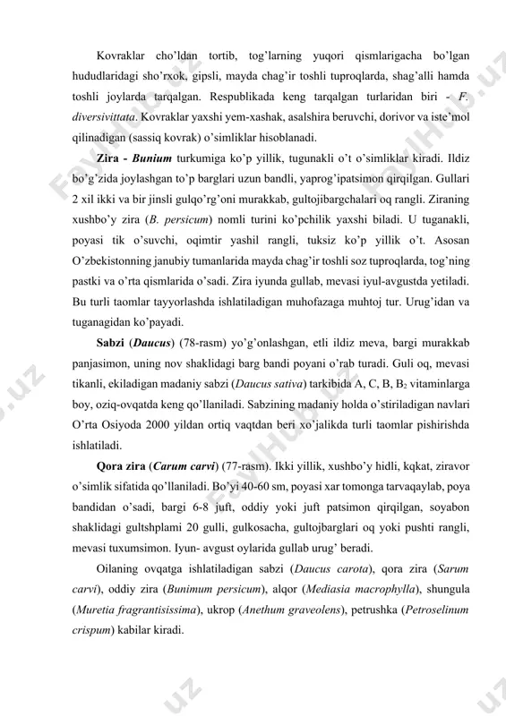 ota), qora zira (sarum carvi), oddiy zira (bunimum persicum), alqor (mediasia macrophylla), shungula (muretia fragrantisissima), ukrop (anethum graveolens), petrushka (petroselinum crispum) kabilar kiradi. arpabodiyon - pimpinella anisum mevasi o’z tarkibida saqlagan efir moyi hisobiga undan tayyorlangan va olingan preparatlar yallig’lanishga qarshi, balg’am ko’chiruvchi, spazmolitik va qisman mikroblarga qarshi ta’sir ko’rsatish xususiyatiga ega. ibn sino arpabodiyon mevasini nafas olish qiyinlashganda uni yengillashtirish uchun va terlatuvchi dori sifatida hamda boshqa kasalliklarda ham qo’llashni tavsiya etgan. xalq tabobatida o’simlik mevasidan tayyorlangan damlama terlatuvchi, siydik va o’t haydovchi, ishtaha ochuvchi vosita sifatida ishlatiladi. oddiy fenxel (dorixona ukropi) - foeniculum vulgare ko’p yillik (plantatsiyalarda ikki yillik qilib o’stiriladi), bo’yi 90-200 sm ga etadigan o’t o’simlik. poyasi tik o’suvchi, ko’p qirrali va sershoxli. bargi uch-to’rt marta patsimon ajralgan va qini bilan poyada ketma-ket joylashgan. barg bo’laklari ingichka chiziqsimon yoki ipsimon. gullari mayda, sariq bo’lib, murakkab soyabonga to’plangan. soyabonda o’rama va o’ramacha barglar bo’lmaydi. kosacha bargi juda …