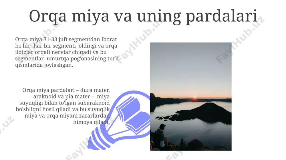 orqa miya va orqa miya pardalari, uning yoshga doir xususiyatlari - Page 3