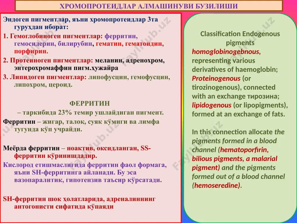 ). маҳаллий гемосидерозга мисол ўпка гемосидерози. сабаблари: ревматик митрал порок, кардиосклерозда ўпкада қоннинг димланиши. ўпкада сурункали веноз димланиш, томир девори ўтказувчанлигининг ошиши. ўпкага диапедез қон қуйилишлар. альвеолалар оралиғида, томирлар атрофида кўп миқдорда сидеробластларнинг тўпланиши. сидеробластларнинг альвеолалар бўшлиғига тушиши ва балғам билан ажралиши – “юрак пороги ҳужайраси” дейилади. аралаш дистрофиялар at long venous stagnation in the lungs, arising owing to chronic warm insufficiency, are observed plural diapeptidase hemorrhages. formed thus hemosiderin it is absorbed mononuclear by cages of alveoluses. билирубин – ўт-сафро пигменти 1. рэсда эритроцитнинг парчаланиши, гемнинг ажралиши. 2. гем протопорфирин халқасининг темирни йўқотиши. 3. биливердин пайдо бўлиши. 4. биливердиннинг оқсил билан қўшилиб боғланган билирубинга айланиши. 5. гепатоцитларнинг глюкурон кислотаси ёрдамида қондан билирубинни олиб ўт капиллярига хайдаши. 6. ундан нажасда стеркобиллин, сийдикда уробилин пайдо бўлиши. билирубин алмашинуви бузилиши – сариқлик (желтуха) дейилади. сариқликнинг 3та формаси мавжуд: 1. гемолитик сариқлик (инфекция: сепсис, безгак, қайталама тиф; интоксикация; изоиммун ва аутоиммун бузилишлар). 2. …