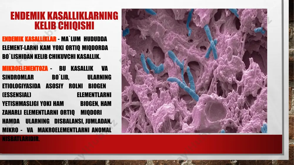 biogen elementlar va ularning kasalliklar ustida ta'til - Page 4