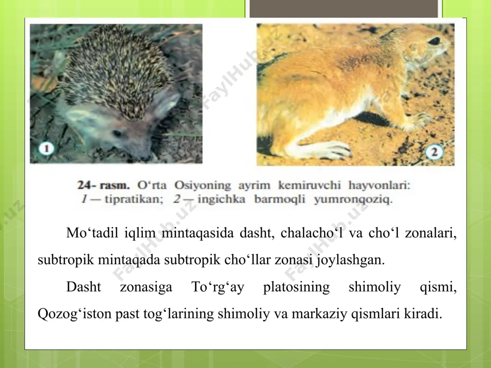 o‘rta osiyo tabiat zonalari 7-sinf - Page 4