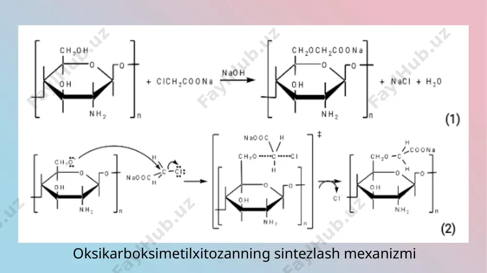 karboksimetil xitosan apis mellifera molekular modeli va atomning zaryadlanishi - Page 3