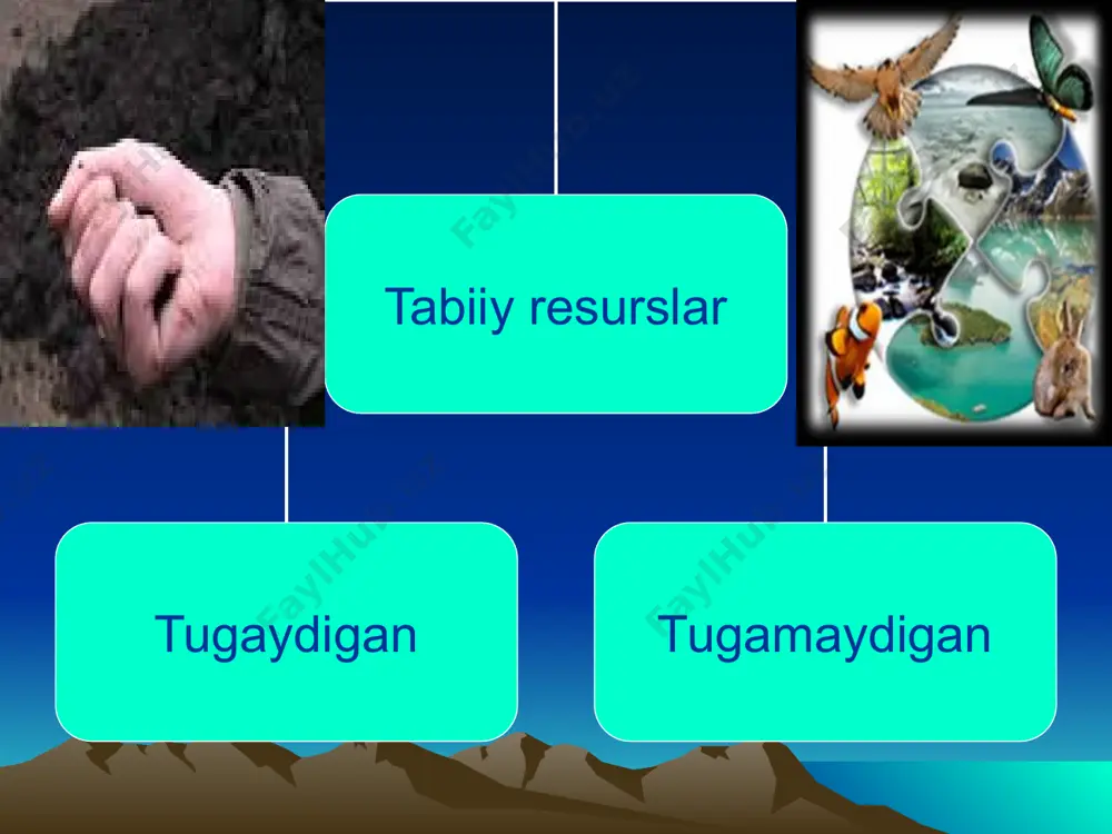 tabiiy zaxiralar tasnifi, turlari - Page 4