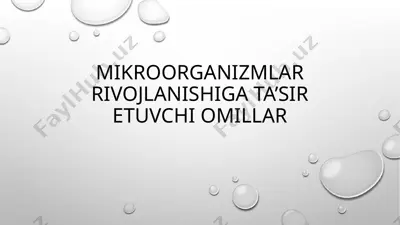 mikroorganizmlar rivojlanishiga ta’sir etuvchi omillar — PPTX