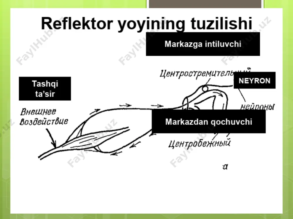 elektr maydoni va uning asosiy xarakteristikalari - Page 4