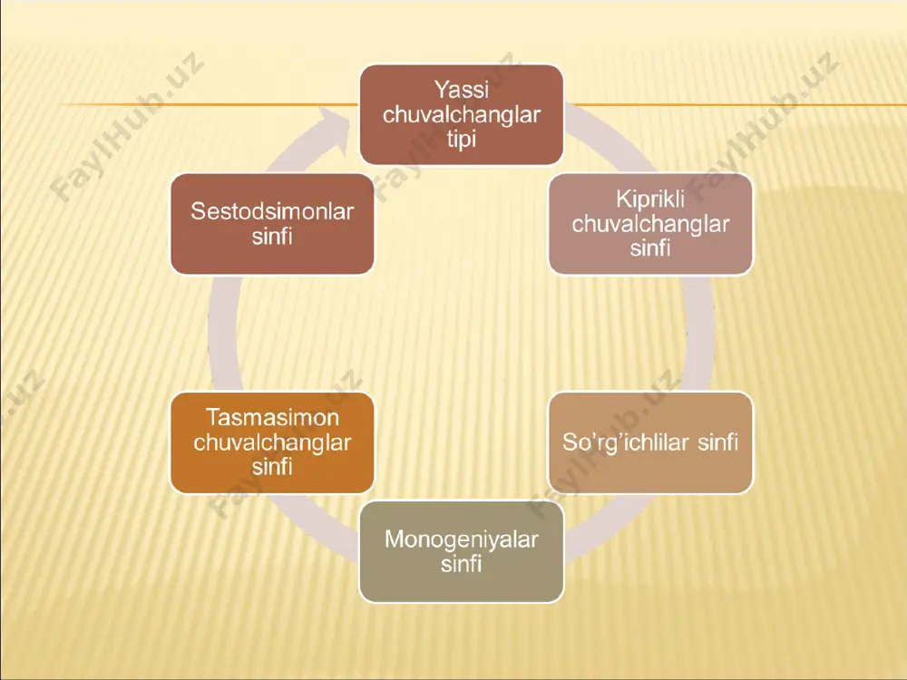 ari esa muskullari yordamida tanasini egib yoki cho’zib suv tubida o’rmalaydi yoki kipriklari yordamida suzib yuradi. parenxima siyrak joylashgan biriktiruv-chi to’qima hujayralaridan iborat. hujayralar oralig’i suyuqlik bilan toigan. bu suyuqlik orqali ichakdan so’rilgan oziq moddalar boshqa ichki organlar-ga o’tadi. ayirish mahsulotlari ayirish sistemasi naylariga o’tkaziladi. hazm qilish sistemasi halqumdan va uchi berk o’rta ichakdan ibo-rat. hazm boimagan oziq qoldiqlari og’iz orqali chiqarab yuboriladi. ko 'pchilik turlari yirtqich bo’lib, har xil mayda hay vonlar bilan oziqlanadi. og’iz teshigi qorin tomonining o’rtasida, tanasining oldingi yoki keyingi uchiga yaqin joyda joylashgan. ayrim yirik vakillarida og’iz teshigi halqum cho’ntaklari deb ataladigan joyga ochiladi (49- rasm). cho’ntak tubidan uning bo’shlig’iga halqum bo’rtib chiqib turadi. halqum og’iz teshigidan chiqib, oijasini tutib oladi. mayda vakillarining o’rta ichagi uchi berk oddiy xaltaga yoki nayga o’xshaydi. yirik vakillarining ichagi shoxlangan. ko’p shoxlilarning halqumi oshqozonga ochiladi; oshqozondan esa har tomonga ichak shoxlari taral-adi. uch shoxlilarda esa halqumdan birdaniga ichakning uchta …
