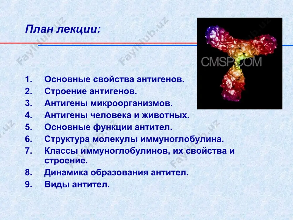 ены антигенными детерминантами, общими для организмов разных таксономических групп (антигенная мимикрия, перекрестнореагирующие антигены). в зависимости от систематического положения антигены микроорганизмов делят на: группоспецифические – у разных групп одного и того же семейства. видоспецифические – у разных видов одного и того же семейства. типоспецифические – у разных типов (вариантов) в пределах вида. по этим антигенам микроорганизмы подразделяют на серовары или серотипы. к-aг (капсульный) н-aг (жгутиковый) о-aг (соматический) vi-aг (вирулентности) основные антигены бактерий: основные антигены бактерий: название антигена химическая природа отношение к температурным воздействиям н-антиген (жгутиковый) белок флагеллин термолабильный (разрушается при 56-600с) о-антиген (соматический) липополисахарид клеточной стенки термостабильный (выдерживает кипячение в течение 1 часа) к-антиген (капсульный) кислый липополисахарид а – термостабильный (выдерживает кипячение в течение 2-х часов); в – (промежуточный, выдерживает нагревание до 600с, но при кипячении разрушается); l – термолабильный (разрушается при нагревании до 600с) протективные антигены – активные вещества патогенных микроорганизмов, способные вызывать продукцию защитных антител, предохраняющих организм от развития …