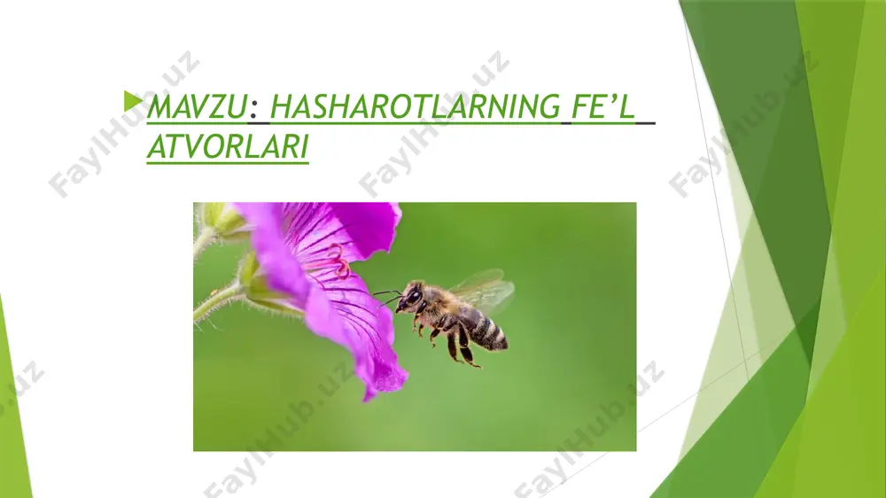 ntlardan iborat. ularni sirtqi qoplagichi kutikula qalinlashib xotinga aylangan. xitin tashqi skelet va ichki organlar uchun tayanch vazifasini bajaradi. kòpchiliklarini tanasi bòsh, kòkrak, qorincha qismlarga ajralgan. suvda yashovchi turlarining nafas olish organi jabra , quruqlikda yashovchilariniki esa traxeyadan iborat. qon aylanish sistemasi ochiq , yelka tomonda naysimon yurak joylashgan. bòģimoyoqlilarda hid bilish, eshitish va sezgi organlari yaxshi rivojlangan. bòģimoyoqlilar 4 ta kenja tipga ajratiladi. jabra bilan nafas oluvchilar trilobitlar heliseralilar traxeya bilan nafas oluvchilar traxeya bilan nafas oluvchilar tipiga: qorinoyoqlilar sinfi hasharotlar sinflari kiradi. bu tip vakillari quruqlikda yashaydi. oila bòlib yashovchi hasharotlar pardaqanotlilar turkumi. pardaqanotlilar oila bolib yashovchi hasharotlar hisoblanadi. asal arilar oilasida 10 000-50 000 tagacha ishchi ari, 1 ta ona ari, bir necha yuz erkak ari boladi. chumolilar ham oila bolib yashovchi nashtarli pardaqanotlilarga kiradi. lekin nashtarlari juda kichik bolgani uchun chaqaolmaydilar. oilada qanotsiz ishchilar,yirik boshli navkarlar, bir necha ona va qanotli erkak chumolilar boladi. termitlar turkumi. …