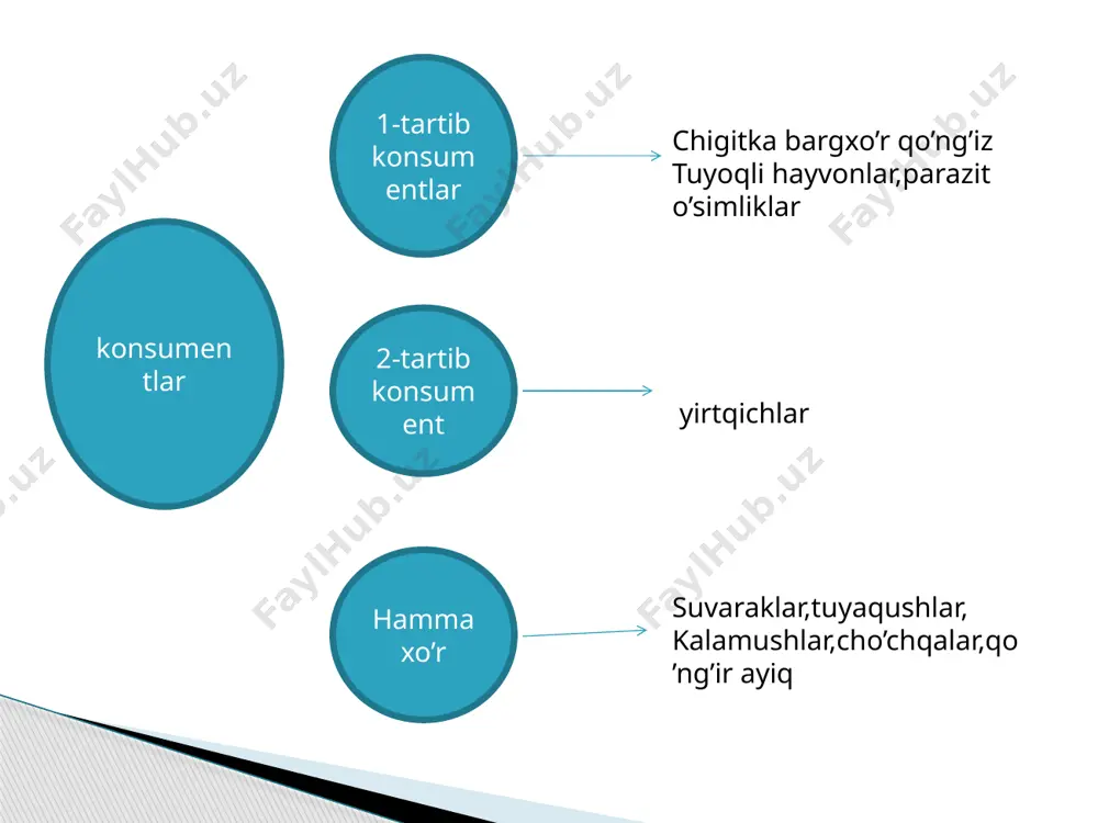 ekotizmlarning trofik strukturasi - Page 4