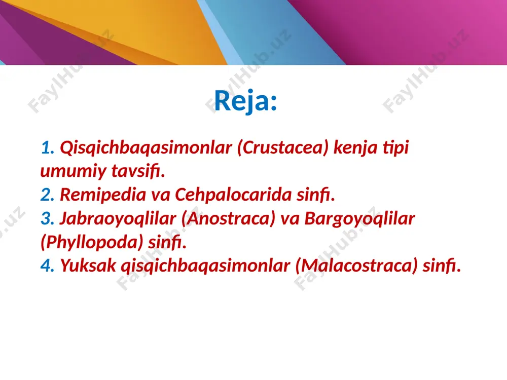 nomlanuvchi ikki juft mo‘ylovlar (teri va hid biluvchi organlarning) bo‘lishi xarakterlidir. suvda yashovchilarida oyoqlar bilan tutashgan maxsus nafas olish organlari jabralar rivojlangan, ba’zilarida esa bu organ burtmalar, kurakchalar, o‘simtalar shaklida bo‘ladi. bir qancha turlarida esa jabralar yo‘qolib teri orqali nafas oladi. qisqichbaqasimonlar kenja tipi – 6 ta sinfga bo‘linadi. 6. jag‘oyoqlilar (maxillopoda) катта sinfi. copepoda sinfi. 1. remipedia sinfi. 2. cehpalocarida sinfi. 3. jabraoyoqlilar (anostraca) sinfi. 4. bargoyoqlilar (phyllopoda) sinfi. 5. yuksak qisqichbaqasimonlar (malacostraca) sinfi. remipediyalar ( remipedia ) - remipediyalar ilk bor 1981 – yilda kashf qilingan bo’lib, ularni yer yuzida 10 ta turi uchraydi. ular bagam orollari, g’arbiy hindiston hamda yukaton yarim orolida aosan suv osti g’orlarida tarqalgan. remipediyalar tanasi tashqi tomondan polixetalarga o’xshab ketib, uzunligi 15-45 mm keladi. gavdasi 38 tagacha segmentlardan tuzilgan va har bir segmentda juft parapodiyalar bor. germofrodit organizmlar. urg’ochilik gonofor 7-segmentda, erkaklik gonofori 14-segmentda ochilgan. spemmatozoidlarida xivchinlar mavjud. spemmatozoidlar yordamida urug’lanadi. hanuzgacha laboratoriya …