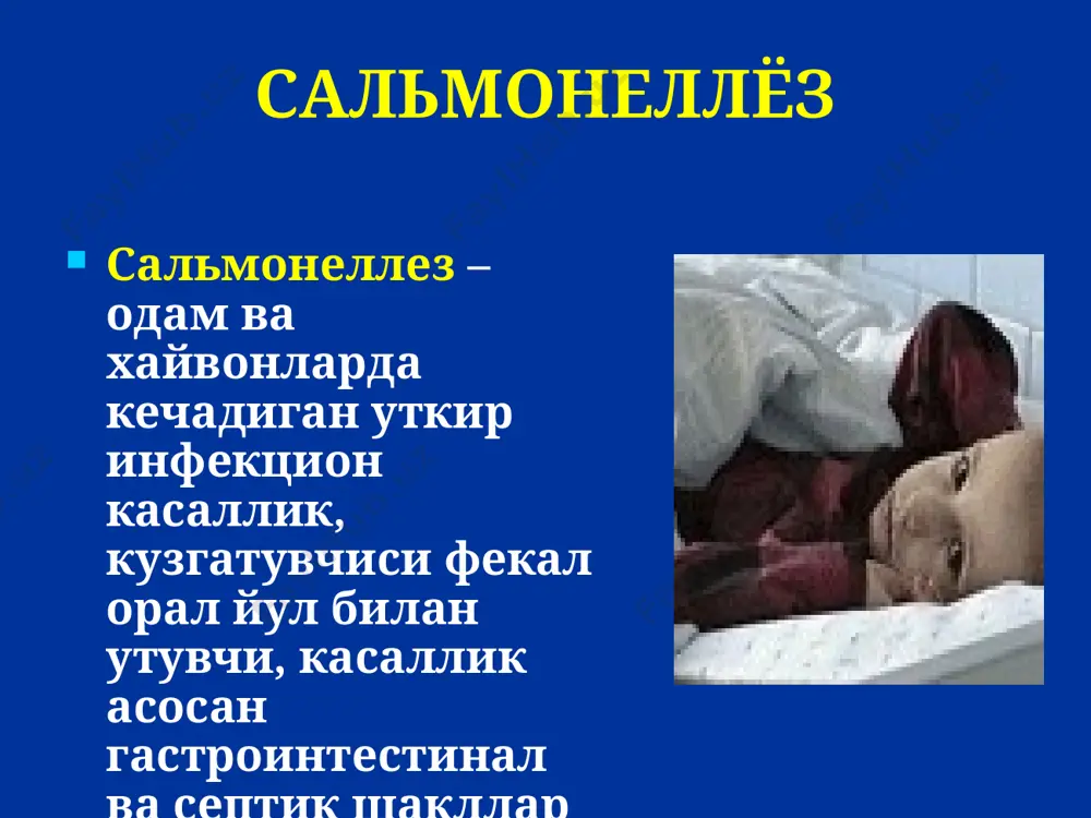 да юкори хароратда тез улади. эпидемиология охирги 20 йил давомида s. typhimurium ташки мухитда нисбатан чидамлилиги хисобига таркалган . эпидемиология сальмонеллез касаллигини юкиш йуллари катталарда ва ёши катта болаларда – алиментар, озик овкат махсулотлари оркали, гуштли ва тухум махсулотларни истеъмол килганда. болаларда сальманеллёз касаллигини юкиш йули контакт -маиший соскалар, каровчи ёши катта одамларнинг ифлос куллари, уйинчоклар оркали. эпидемиология одамларни хайвонлардан тугрима-тугри – парвариш вактида – зарарлангани маълум. охирги йилларда «госпитал» сальмонеллез таркалиши купайиб бормокда, бунда юкиш манбаи касал одамлар (болалар, медперсонал, оналар) хисобланади. айтиб утилган учоклар аста секин ривожланиб узок сакланиб туради, асосан бир ёшгача булган болалар орасида учрайди, огир клиник кечишга ва улим холатларга олиб келади. патогенез salmonella ичакда парчаланиши мнс и вегетатив нерв система эндотоксин оит шиллик кавати симпатико-адренал системани стимуляцияси генерализ. паралич вазамотров гиперсекреция перистальтикани кучайиши кон томирлар тонуси ва утказувчанликни ошиши, шиллик кавати шиши ва кон кетиш белгилари артериолларни торайиши патогенез эндотоксин аденилатциклаза синтез цамф хужайра …