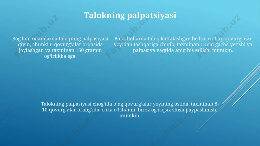 ovqat hazm tizimi va palpatsiya - Page 5