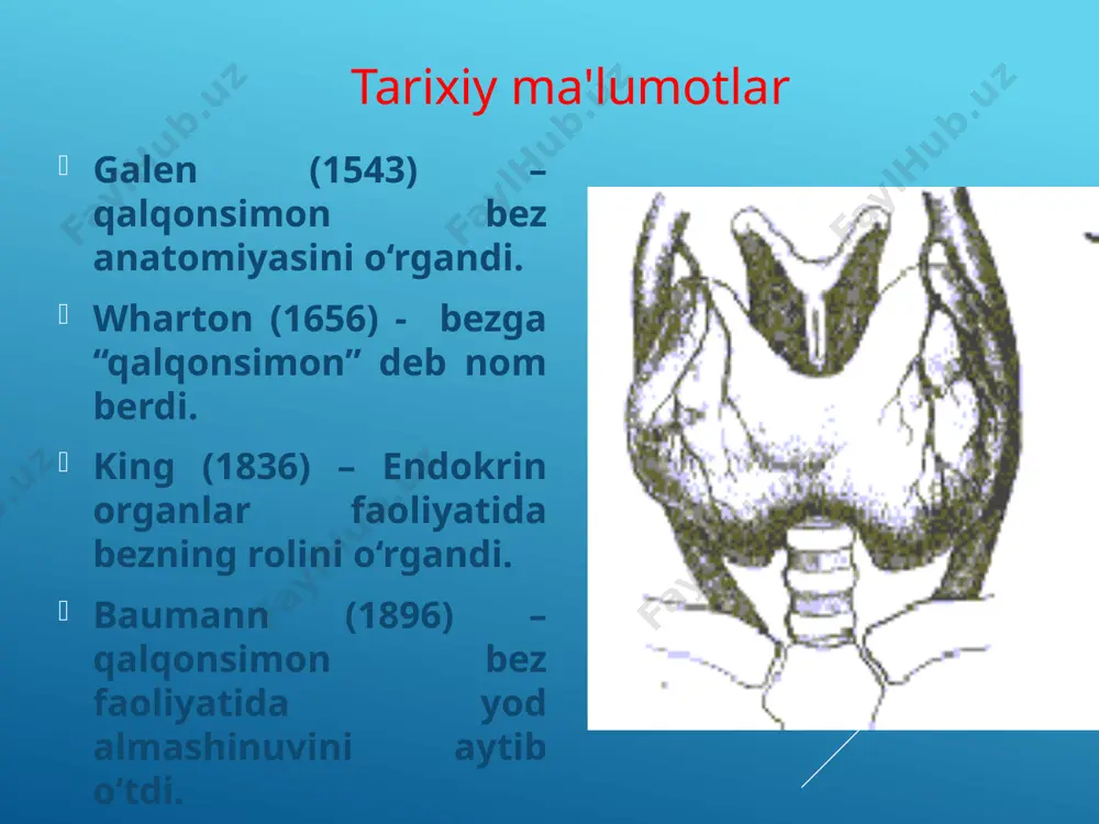 uter tomografiya, mrt, qalqonsimon bez biopsiyasi. qalqonsimon bez paypaslash usullari bemor vrachga yuzma-yuz qarab o‘tiradi yoki tik holat-da turadi, bunda har bir qo‘lning to‘rttala barmog‘i bemor bo‘ynining yon tomonlarida joylashadi, ikkala bosh barmoq bilan bez paypaslab ko‘riladi bemor vrachga orqasini o‘girib, boshini oldinga va pastga bir oz engashtirib o‘tirgan holatda. bu holatda bo‘yin mushaklari bo‘shashadi va bezni tekshirish osonlashadi. bunda har bir qo‘lning to‘rttala barmog‘i bez ustida joylashadi, bosh barmoqlar esa bo‘yin-ni orqa tomondan egallaydi qalqonsimon bez paypaslash usullari funksional holati bo‘yicha bo‘qoq bo‘lishi mumkin 1.gipertireoid - qalqonsimon bez faoliyati oshgan 2.eutireoid - qalqonsimon bez faoliyati buzilmagan 3.gipotireoid - qalqonsimon bez faoliyati pasaygan bo‘ladi gipertireoz – t4 va t3 tireoid garmonlar ishlab chiqarilishini ortishi bilan xarakterlanadigan qb kasalligi. tireotoksikoz — qon va to’qimalarda qb da ishlab chiqariladigan tireoid garmonlar konsentrayasiyasini uzoq vaqt yuqori bo’lishi natijasida kelib chiqadigan klinik sindrom. tireotoksikoz 60—80% xollarda difffuz toksik buqoq (yod-bazedov), toksik adenoma (plammer kasallligi), …
