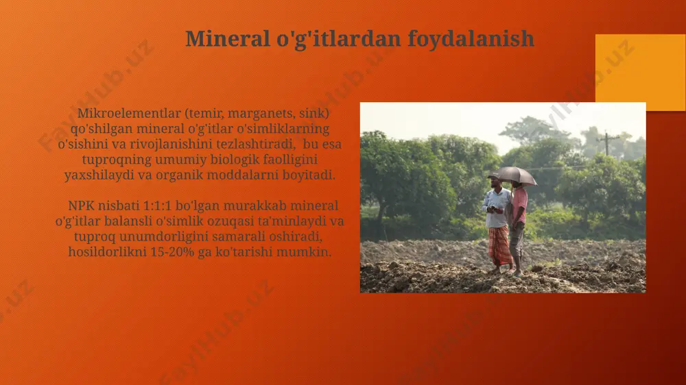 ning kislotaliligini hisobga olish kerak. biologik usullar компостлаштириш жараёнида 1 тонна органик чиқиндилардан 0,3-0,5 тонна юқори сифатли гумусга бой компост олиш мумкин, бу эса тупроқ структурасини яхшилайди ва сув сингдириш қобилиятини оширади. биологик азот ўрнатгич бактериялар, масалан, rhizobium турига мансуб 10 дан ортиқ штаммлар, дуккакли экинларнинг илдизларида симбиоз ҳосил қилиб, тупроқ унумдорлигини 20-30% га оширади. yem o'simliklarini ekishning ahamiyati yem o'simliklari, masalan, beda va yonca, tuproqqa 20-30% gacha azotni fiksatsiya qiladi, bu mineral o'g'itlarga bo'lgan ehtiyojni kamaytiradi va unumdorlikni oshiradi. ildiz tizimining chuqurlashuvi tuproq strukturasini yaxshilaydi, eroziyani 15-25% ga kamaytiradi va suvni yaxshi saqlashga yordam beradi. tuproqning suv rejimini yaxshilash suv yig'ish tizimlarini, masalan, konturli shudgorlashni qo'llash orqali 30% gacha suvni tejash va tuproqning namlanish darajasini 10-15% ga oshirish mumkin. organik moddalar miqdorini 2-3% ga oshirish tuproqning suvni ushlab turish qobiliyatini 25% ga va suv infiltratsiyasini 15% ga yaxshilaydi. e'tiboringiz uchun rahmat @taqdimot_robot image3.png image4.jpg image5.jpg image6.jpg image7.jpg image8.jpg image9.jpg …