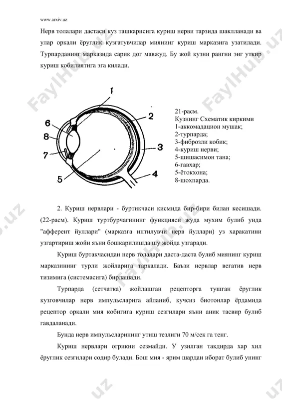 млар, меъморлар булажак асарини яратиш жараёнида мия хотирасида сакланаётган юзлаб рангларни чамалайди. у миясида куплаб ранг комбинацияларини тузади ва хотирасидаги керакли рангни уз асарида куллайди. оддатда кузга ташкари тасвири тушади. мия уларни реал холатини курсатиб беради. куриш таъсуротлари - бизнинг куриш аъзоларимизнинг функциясидир. куриш сохаларининг рангли дифференцияси эвазига биз ташки мухитдаги жисмларни фазовий кенгликда куриб уларни тузилишлари, жойлашувлари, рангларининг фаркланишини сезамиз. томирли кобикнинг ёруглик кузгатувчи нерв учлари таъсирида куриш тукималаридаги мавжуд куриш пурпурларида химик узгаришлар содир булади. бу ходисани фотохимик жараён билан солиштириш мумкин. шуни хам таъкидлаш керакки, кузнинг куриш, унинг хулосаларини мияда ишлаб чикилишидаги жараёнлар хакида биз жуда кам биламиз. рангли бинокуляр куриш ходисалари бунга мисол булиши мумкин. иккала кузга икки хил шиша кизил ва яшил кук урнатилган ойнак билан каралса мухит ок булиб куринади. агар кизил ва яшил урнатилса сарик булиб куринади. кук ва сарик шиша оркали каралса яна ок булиб куринади. бундай ходисларга сабаб бош миядаги "анализатор" …