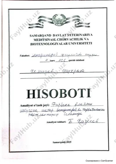 aniq maqsadlar va vazifalar — PDF